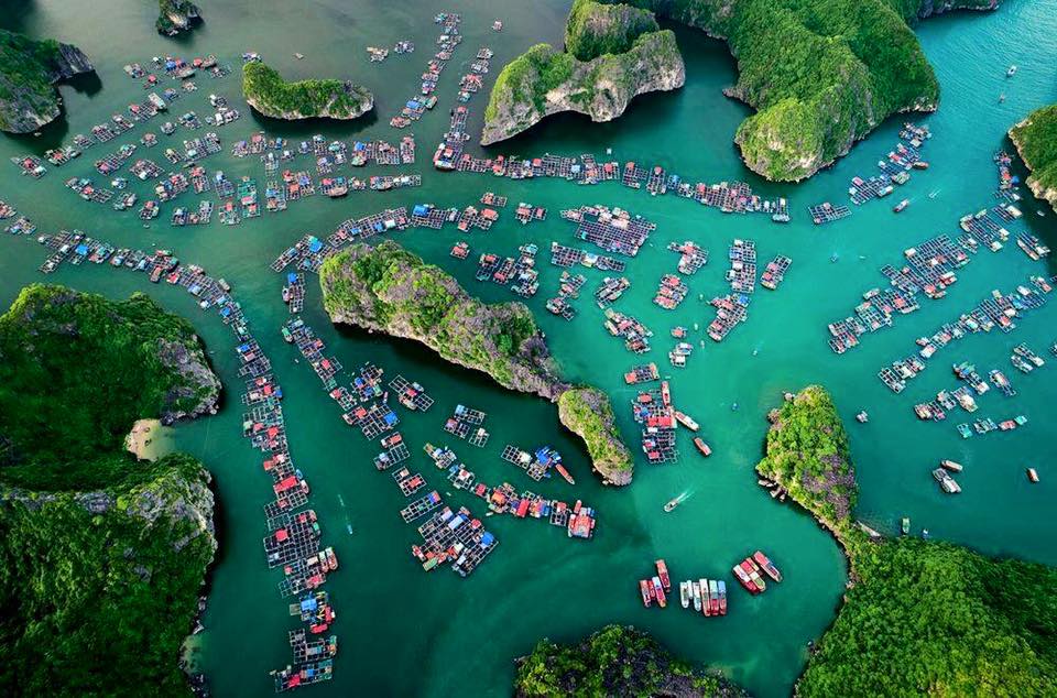 Best Halong Bay Tour