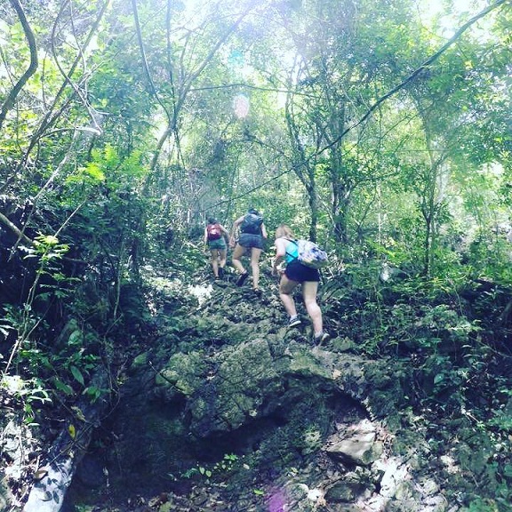 trekking & worth the viewing